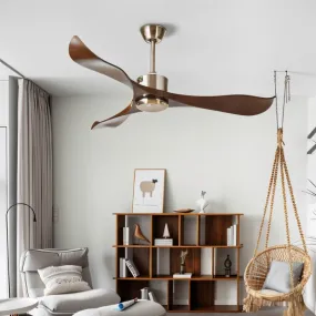 Caelus Ceiling Fan